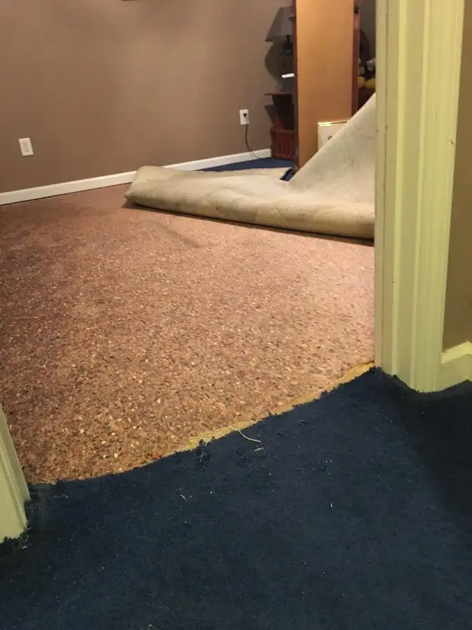 Carpet pad removal revealing water damage during Water Mitigation Services in Union Park