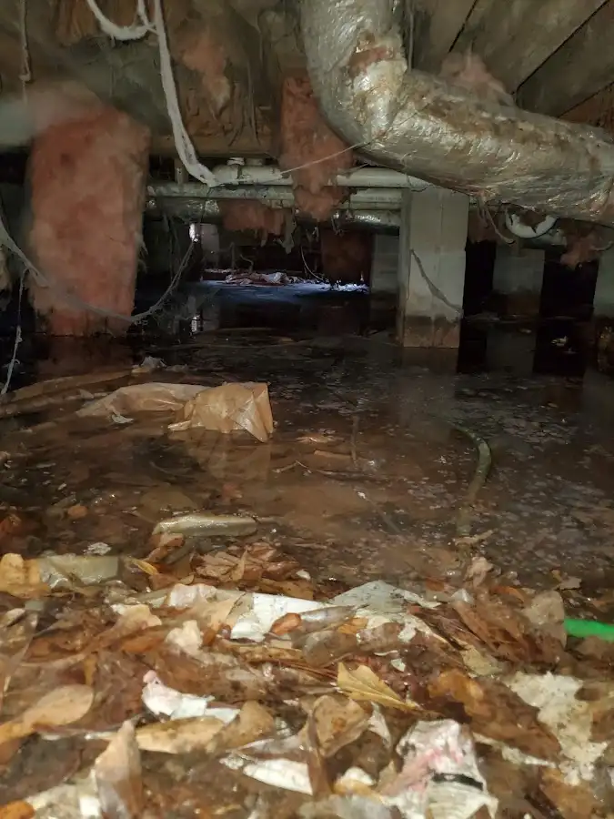 Crawl space flood assessment for Commercial Water Damage Restoration in Union Park