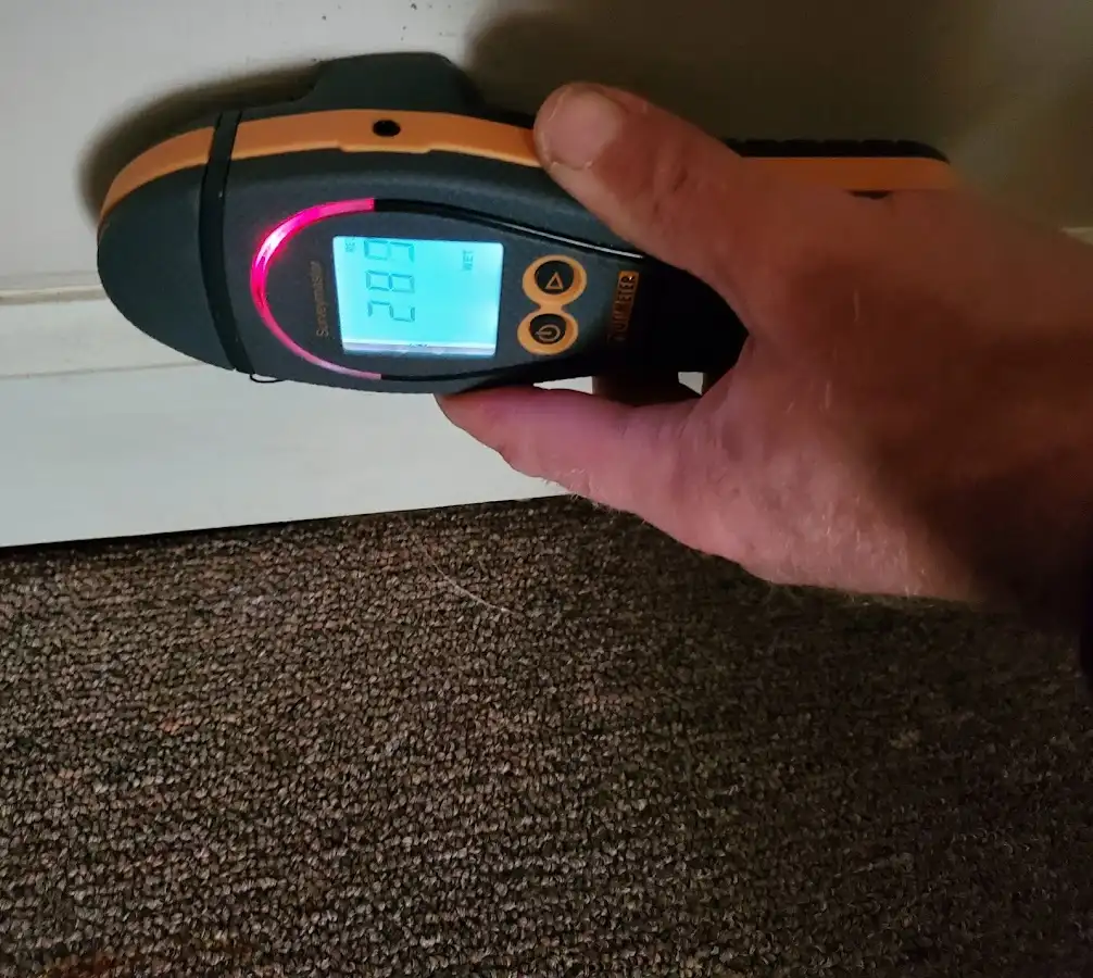 Moisture detection at baseboard during Burst Pipe Cleanup in Union Park