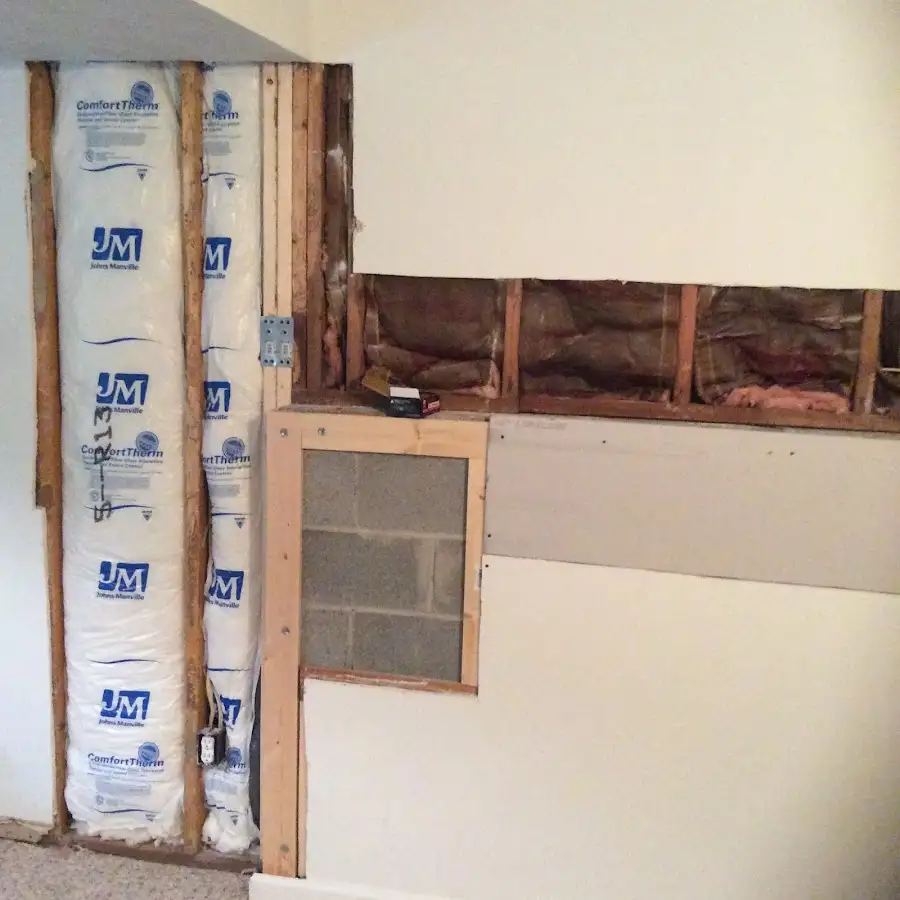 Wall insulation replacement during Odor Removal & Deodorization in Union Park